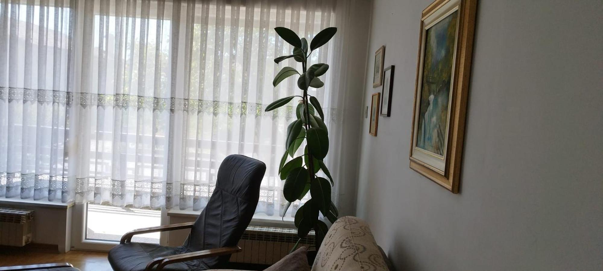 7 Flower Street Apartment Sempeter pri Gorici Eksteriør bilde