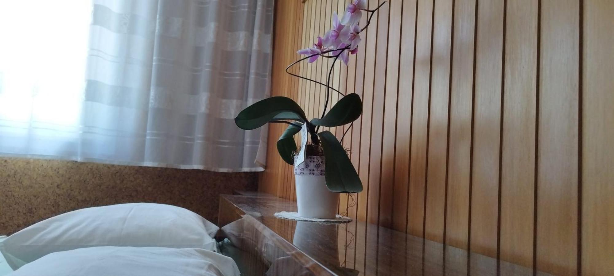 7 Flower Street Apartment Sempeter pri Gorici Eksteriør bilde